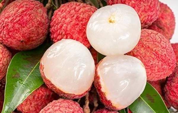Litchi